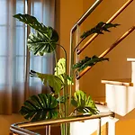 Guestready - Madeiran Paradise With Ocean View Maison d'hôtes Caniço