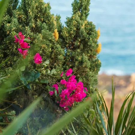 Guestready - Madeiran Paradise With Ocean View 招待所