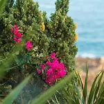 Guestready - Madeiran Paradise With Ocean View Konukevi