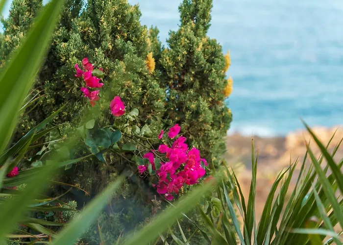 Guestready - Madeiran Paradise With Ocean View Penzion