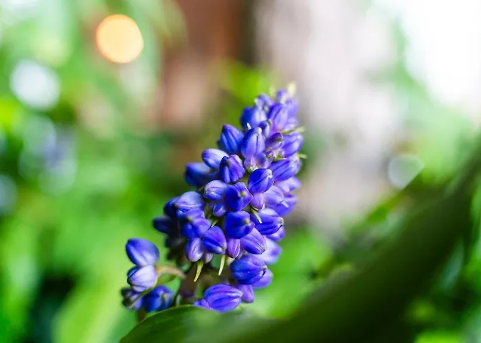 Guestready - Madeiran Paradise With Ocean View Penzion